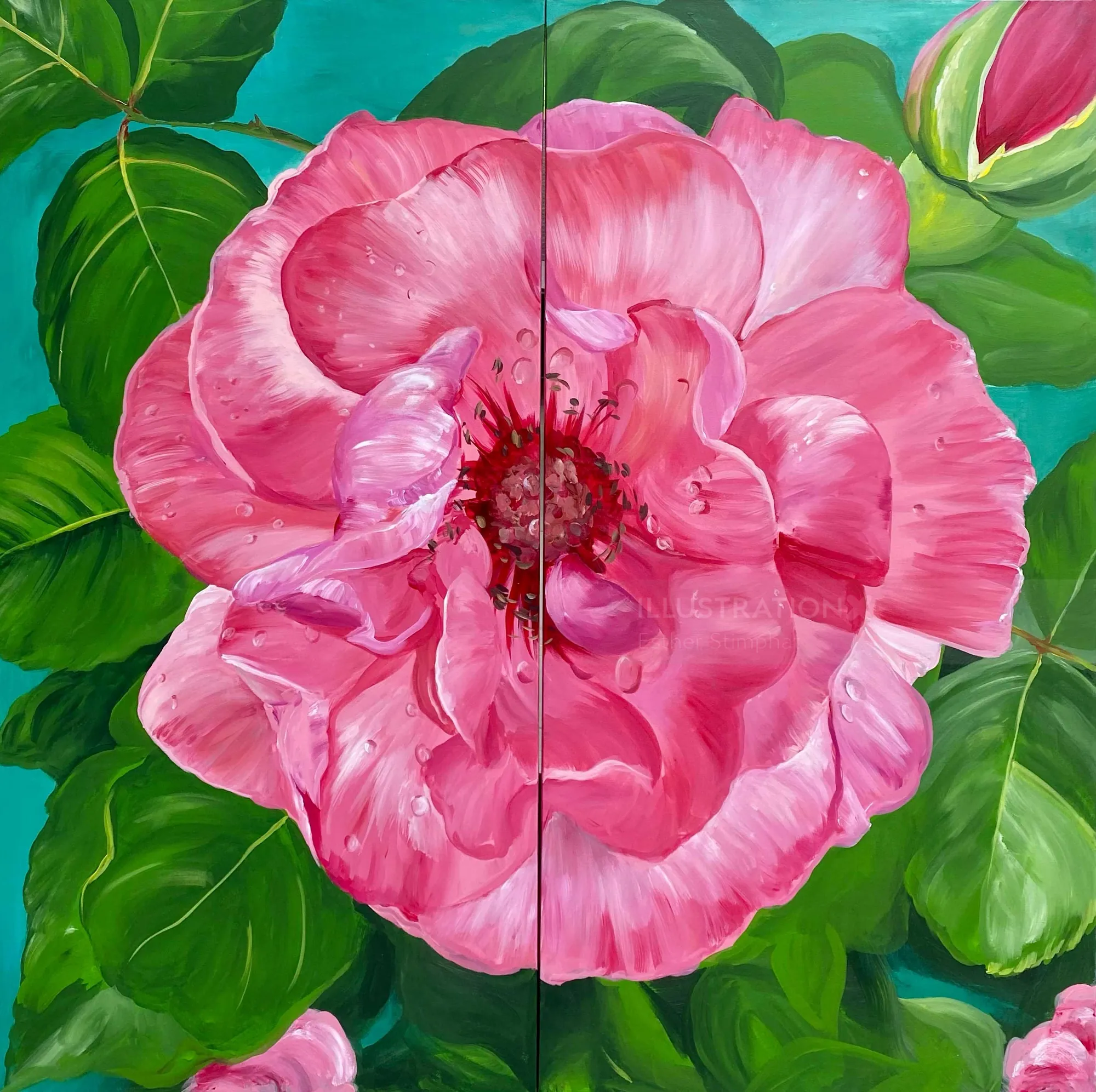 Close-up of pink rose flower with green leaves by Esther Stimphat
