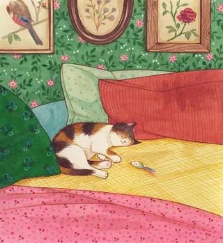 Sleeping calico cat on bed with pillows and floral wallpaper background