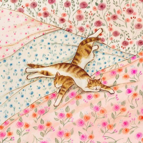 Eunyoung Seo Kids History Illustrator from Korea, Republic of