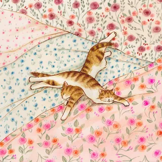 Two tabby cats sleeping on colorful floral blankets