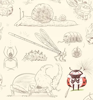 Whimsical hand-drawn insects including a ladybug, snail, and dragonfly