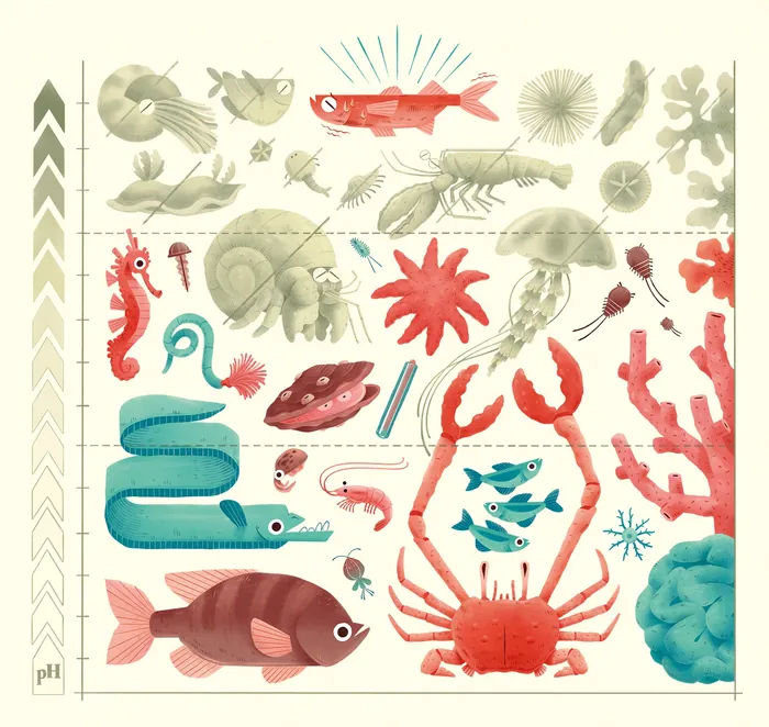 Colorful cartoon marine animals including fish, crab, seahorse, coral, and jellyfish