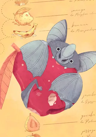 Drawing of a bat holding a red apple with handwritten annotations