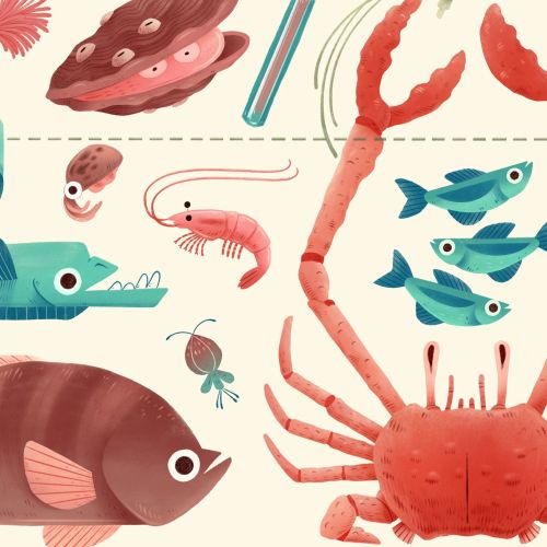 Colorful illustration of sea animals like crab, fish, shrimp, and lobster.