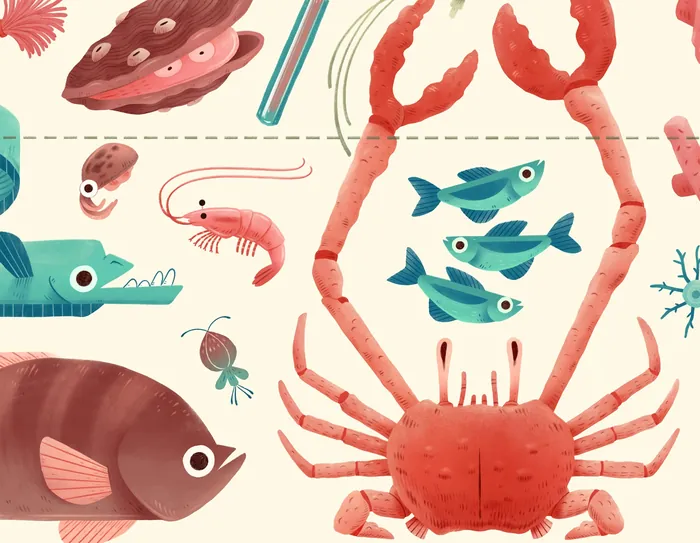 Colorful illustration of sea animals like crab, fish, shrimp, and lobster.