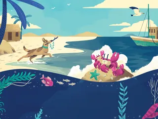 Dog on beach with crabs and underwater sea life