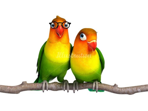 Illustration of parrots