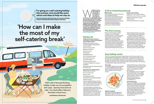 Illustration by Fangfang Han of a camper van picnic beside a self-catering holiday article