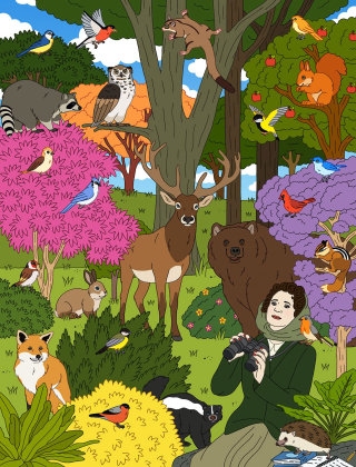 Uma ilustração para a conservacionista Rachel Carson