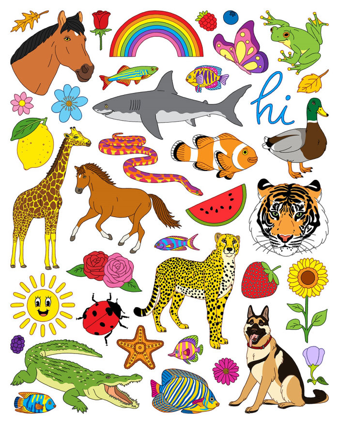 Animals and Nature Poster collage