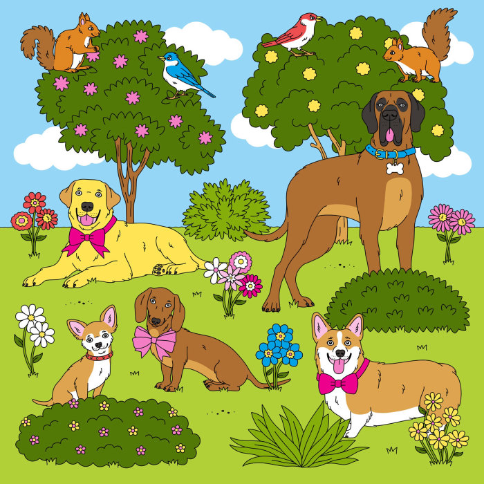 Pet animal pattern for Peter Alexander's home range