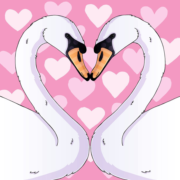 Love Swans Beautiful Painting