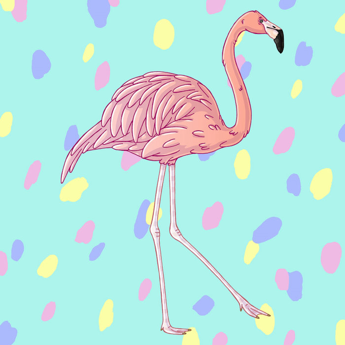 Fun & vibrant artwork of a flamingo