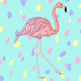 Fun & vibrant artwork of a flamingo