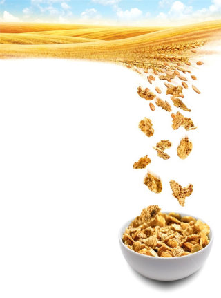 Ilustração de comida de flocos de milho