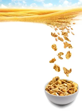 Corn Flakes food illustration