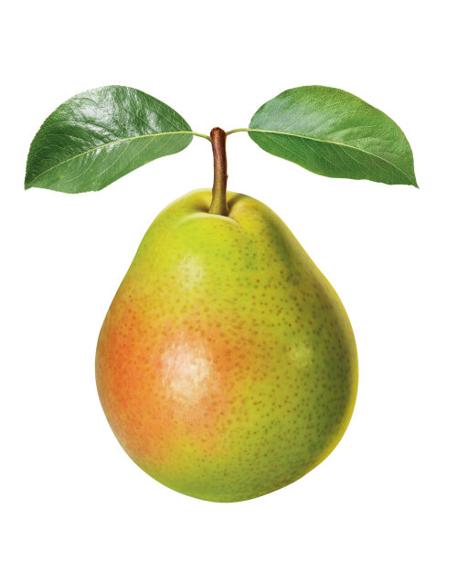 Food & Drink Pear fruit

