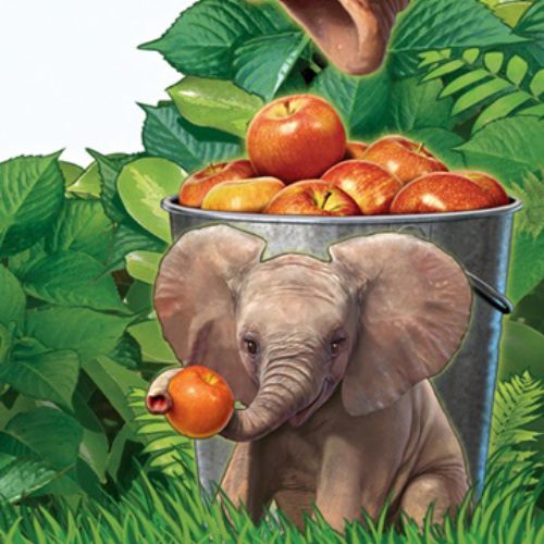 3d Elephant with Apples
