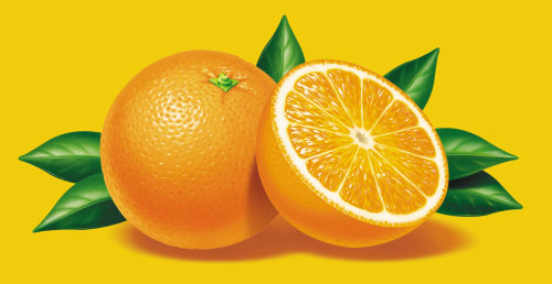Oranges are shown in photorealism