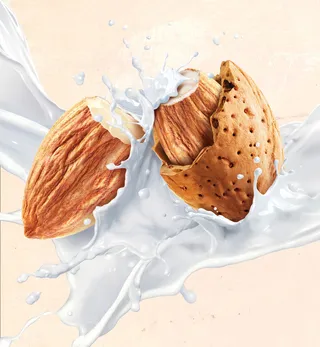 Almond milk illustration for Australia's Own