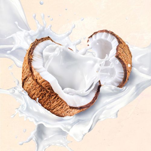 Packaging illustration  for Australia's Own coconut milk