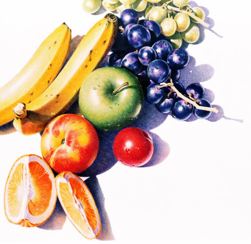 Fruits drawing with color pencils