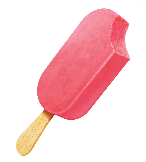 Naturalistic illustration of fruit berries ice lolly