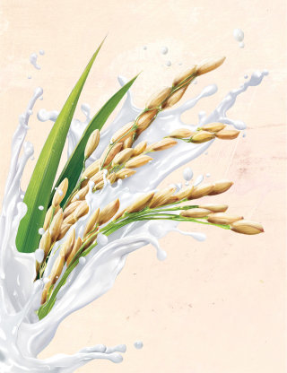 Ilustração para a linha de leite vegetal da Austrália