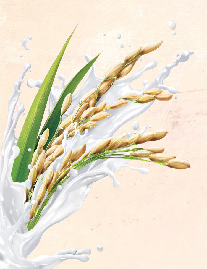 Illustration for Australia's Own plant milk range
