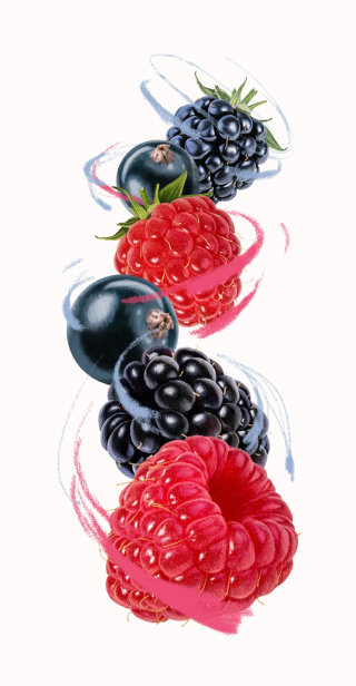 Ilustração de frutas por Food For Thought