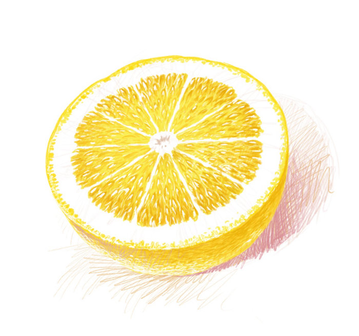Food illustration of fresh lemon