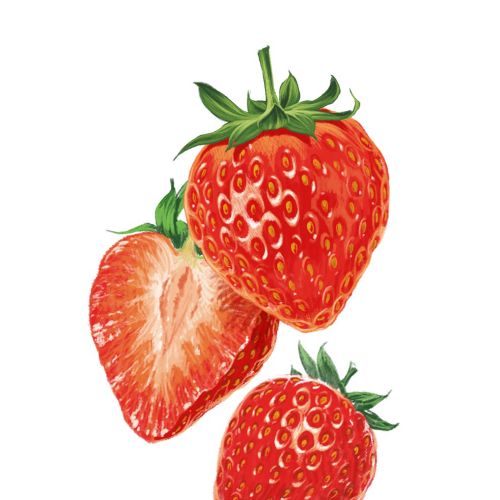 Tasty strawberries in pencil artwork