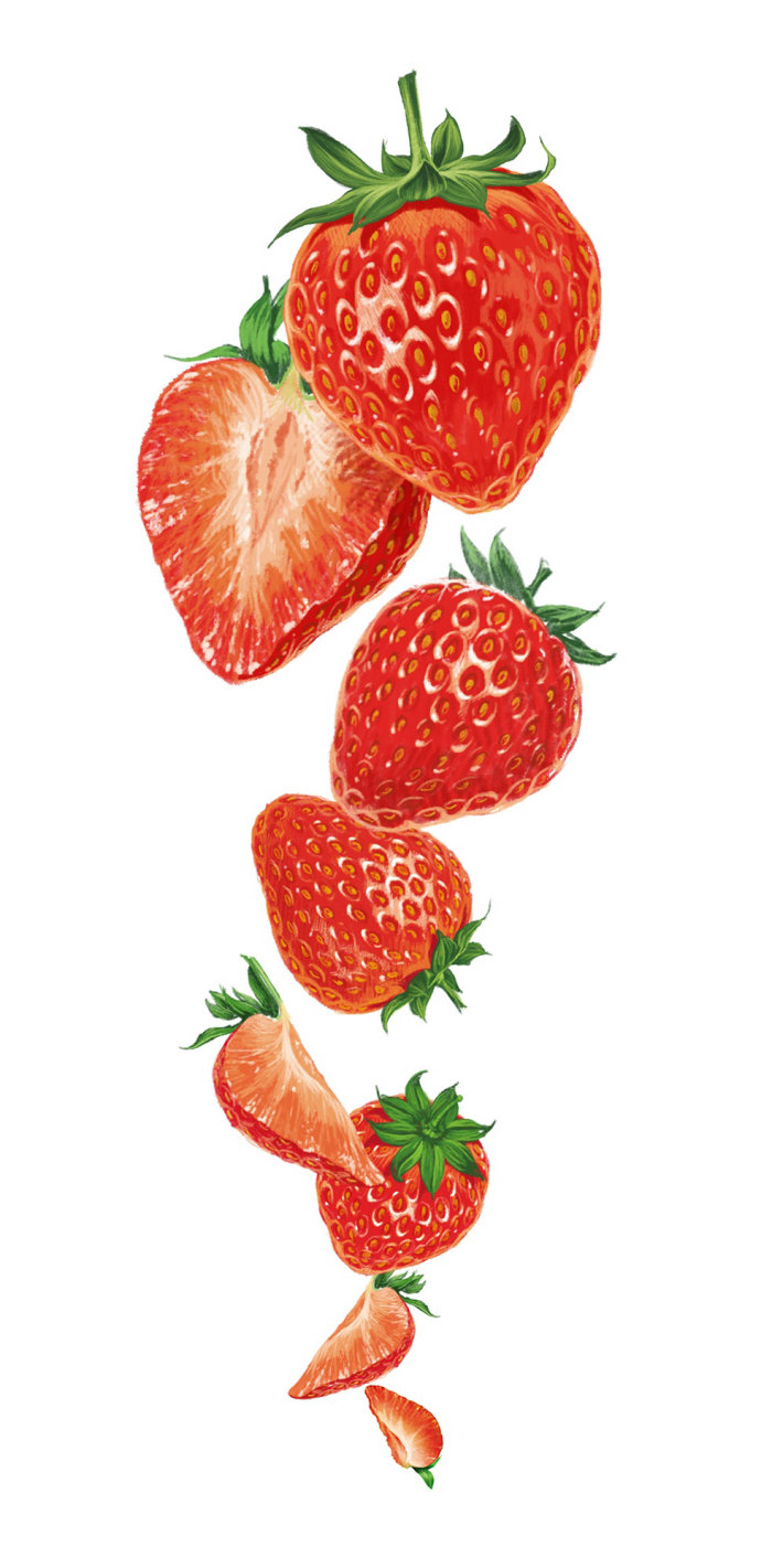 Tasty strawberries in pencil artwork