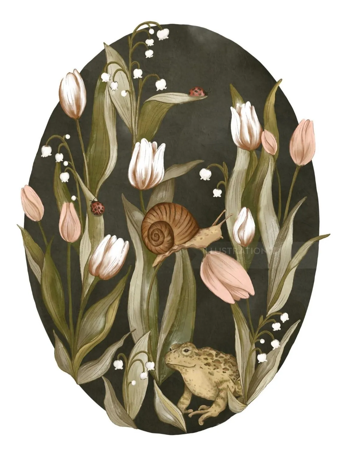 Toad, snail, ladybugs among tulips and lily of the valley flowers illustration