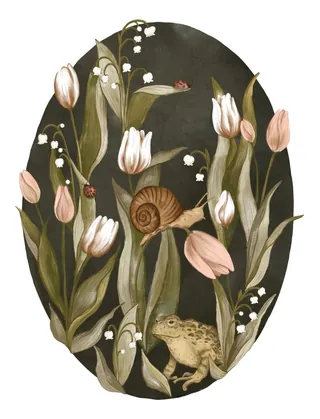 Toad, snail, ladybugs among tulips and lily of the valley flowers illustration