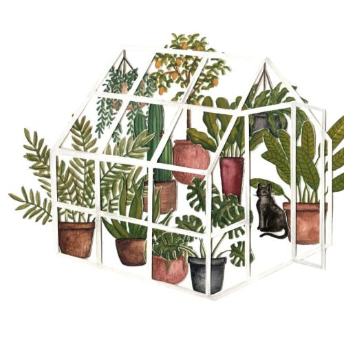 Illustration of a small greenhouse with plants and cats