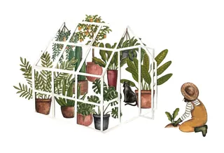 Illustration of a small greenhouse with plants and cats