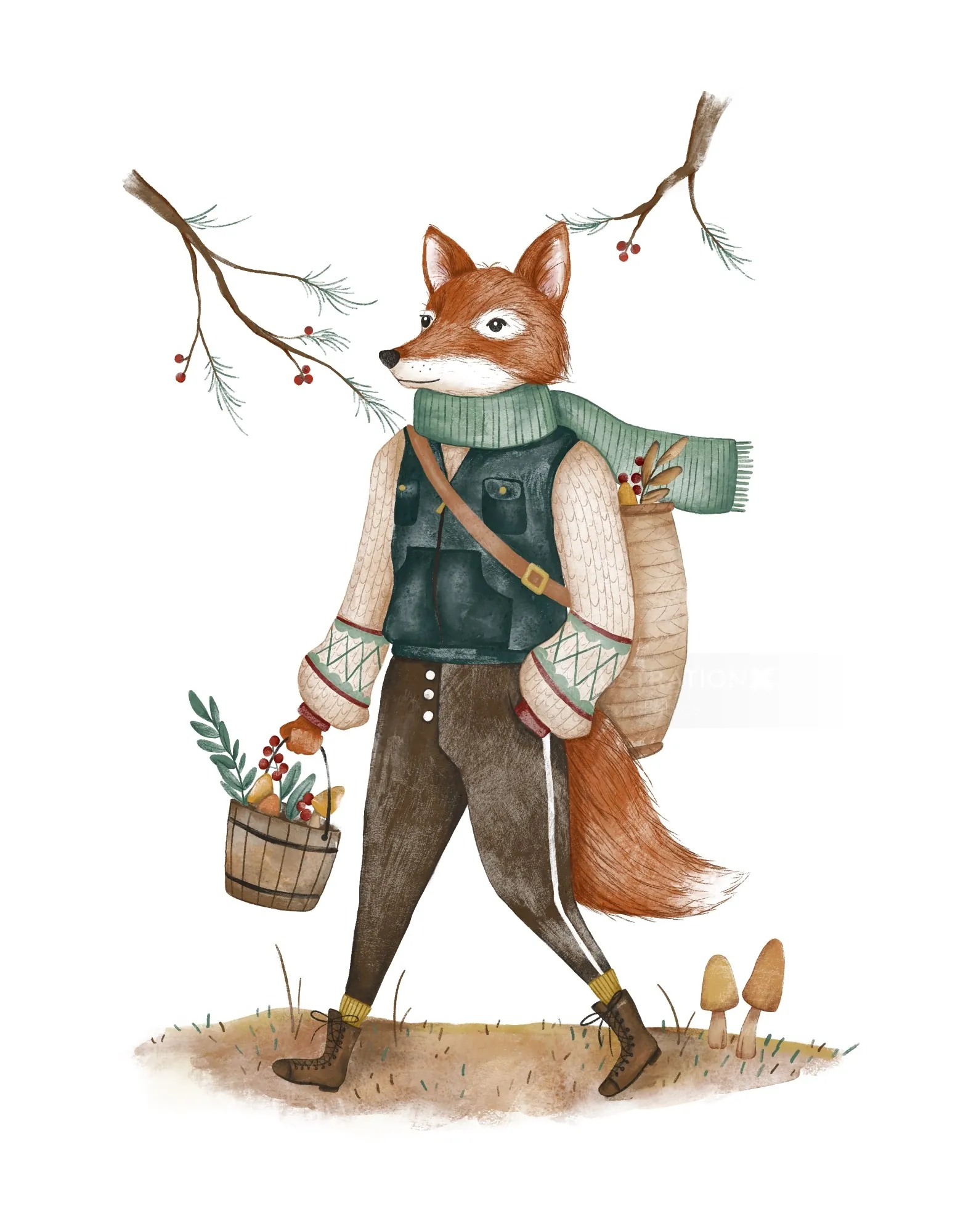 Fox dressed in warm clothes carrying basket walking outdoors