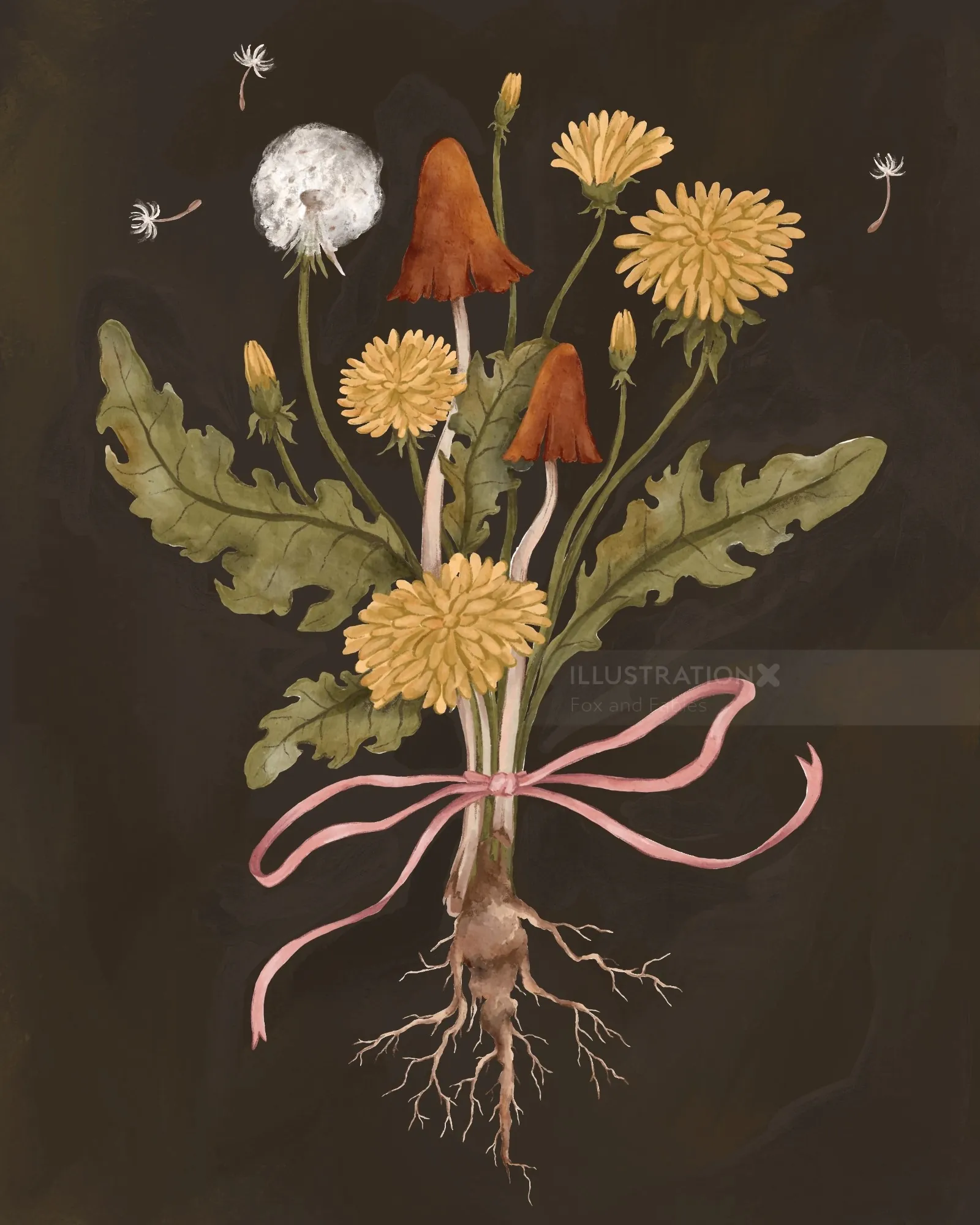 dandelion flowers with roots tied by pink ribbon on dark background