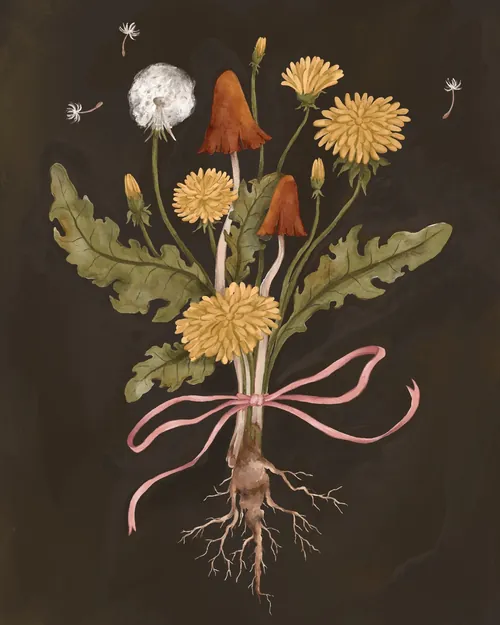 dandelion flowers with roots tied by pink ribbon on dark background