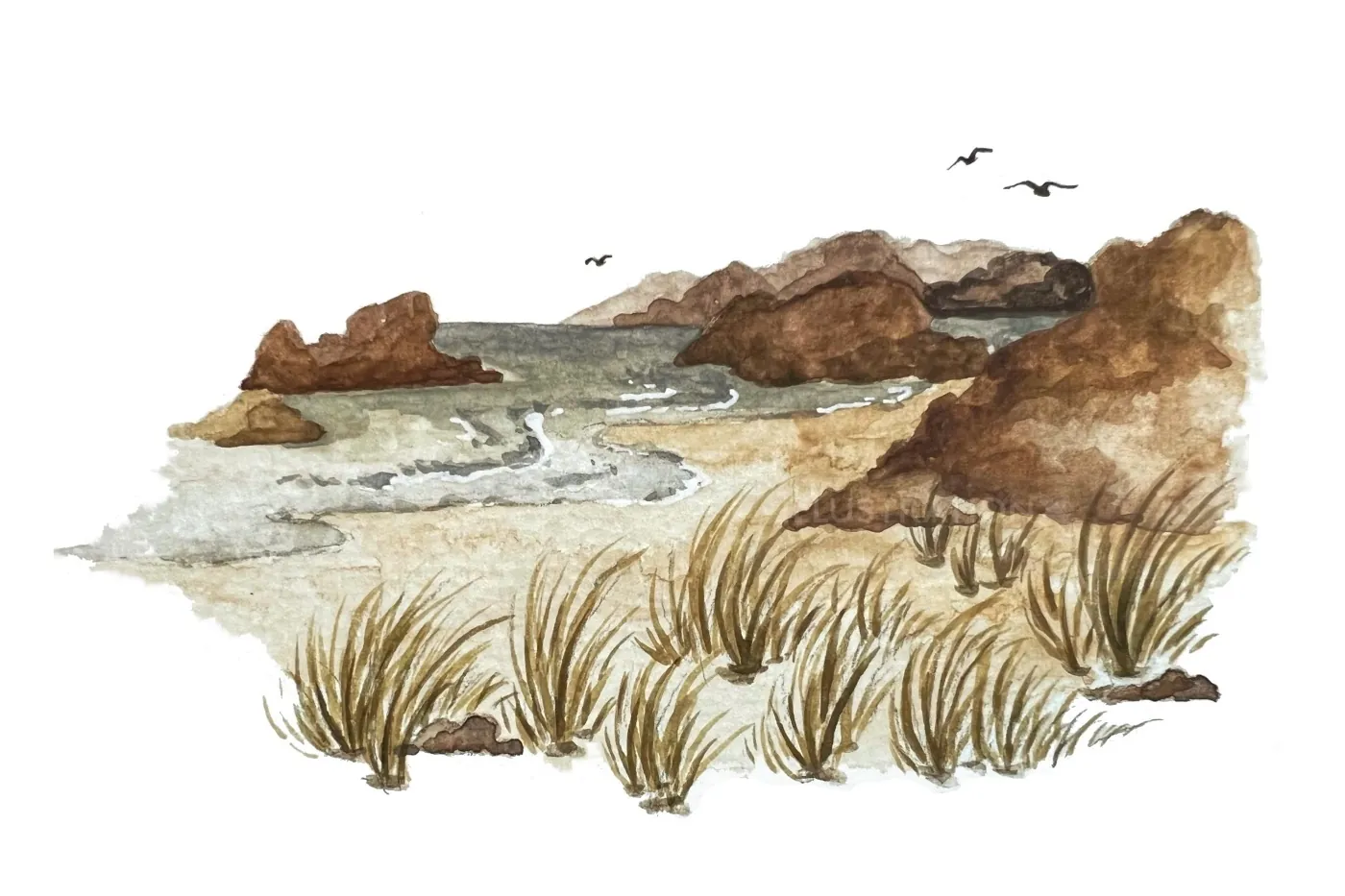 Rocky coastline with ocean waves, grass, and birds in watercolor style
