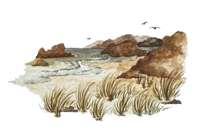 Rocky coastline with ocean waves, grass, and birds in watercolor style
