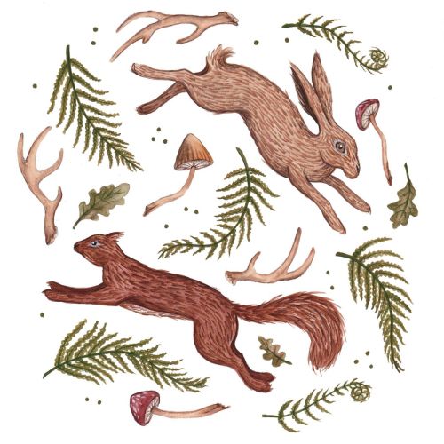 Drawing of a rabbit, squirrel, mushrooms, leaves, and antlers