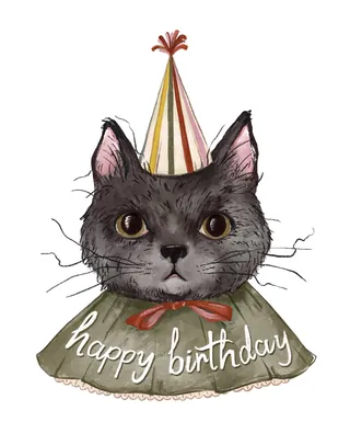 Illustration of a cat wearing a clown hat and birthday collar by Fox and Fables