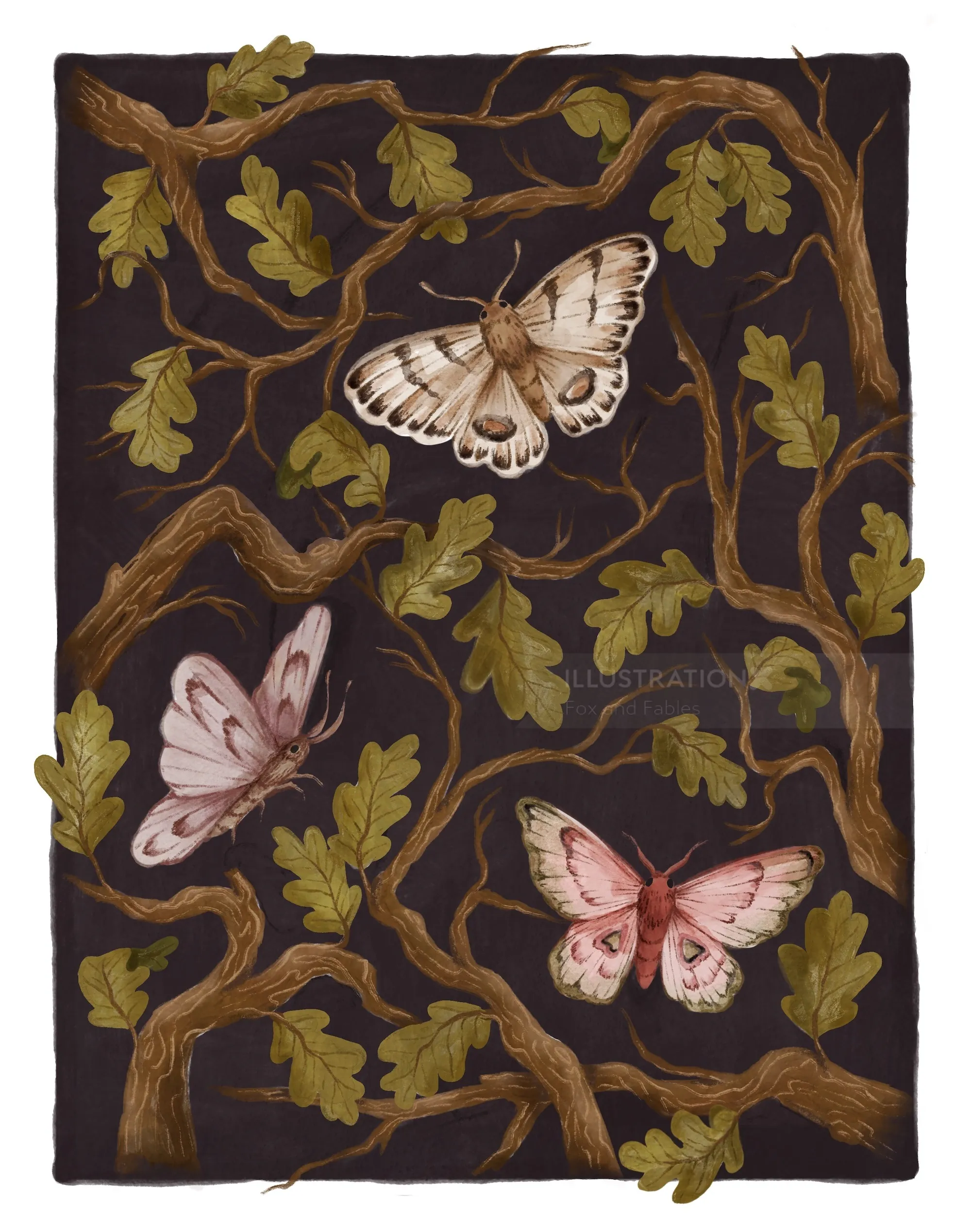 Oak moth and butterflies among oak branches by Fox and Fables