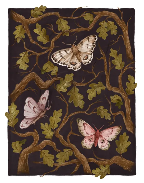 Oak moth and butterflies among oak branches by Fox and Fables