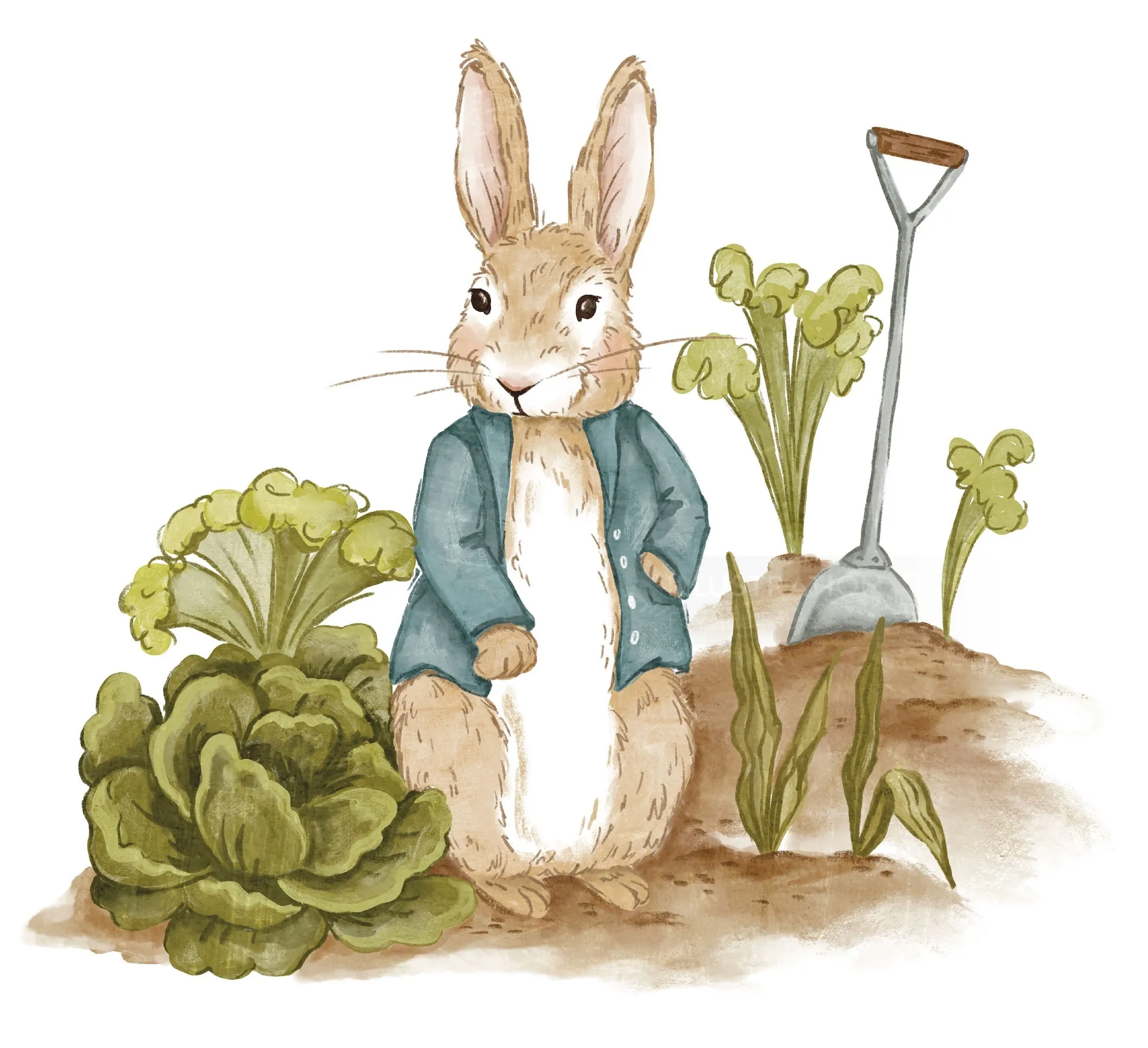 Peter Rabbit standing near lettuce and shovel garden scene by Fox and Fables