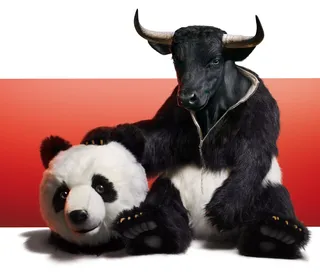 Bull with Panda face
