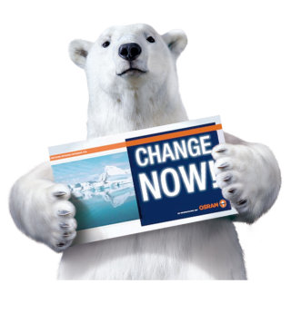 Urso polar com cartão de sinalização
