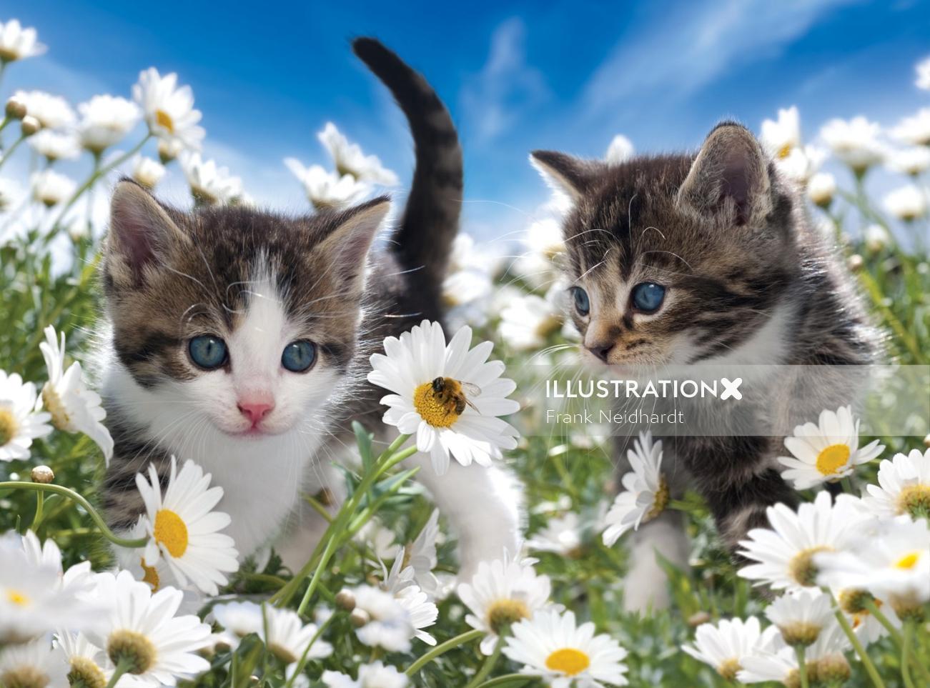 Cute Kittens in flower garden
